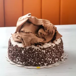 TARTOFACTA